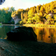 Image for article titled 76 Stunning Photos Of Fall Leaves